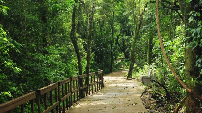 La era del turismo solidario, una oportunidad para el turismo interno