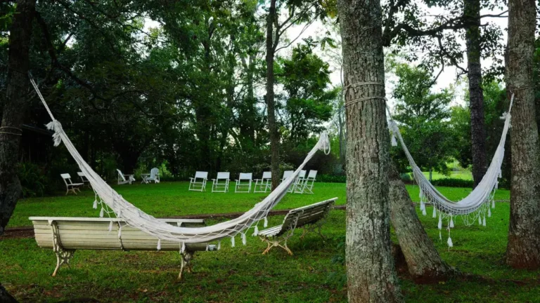 De la revolución verde al cambio climático ¿un camino de fracaso?