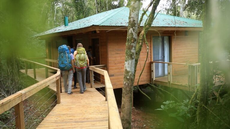 Experiencias Turísticas en Espacios de Naturaleza: Tendencias Post-COVID y Demanda Global