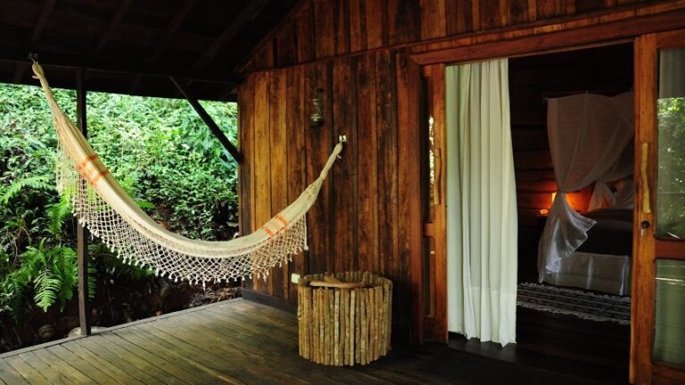 El camino de los Lodges de Selva en Misiones