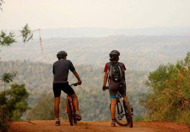 Foto icónica: El Sendero del Éxito de Una Fábula de Naturaleza y Marketing