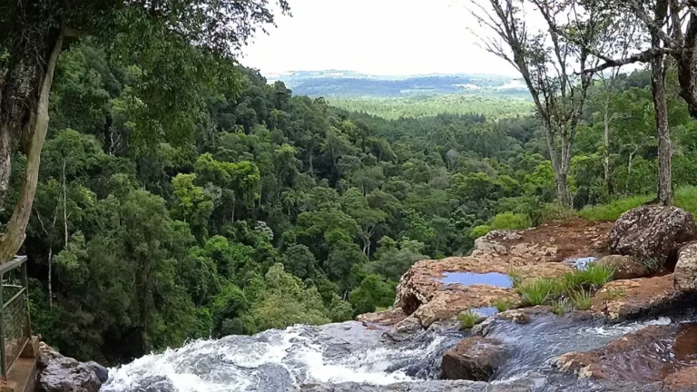 La Feria de Turismo de Misiones, el acompañamiento del Estado a la actividad