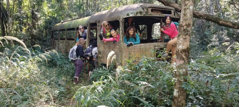 «¿Te Animarías a Descubrir Huella Guaraní? La Aventura Salvaje en el Corazón de Misiones Te Espera».
